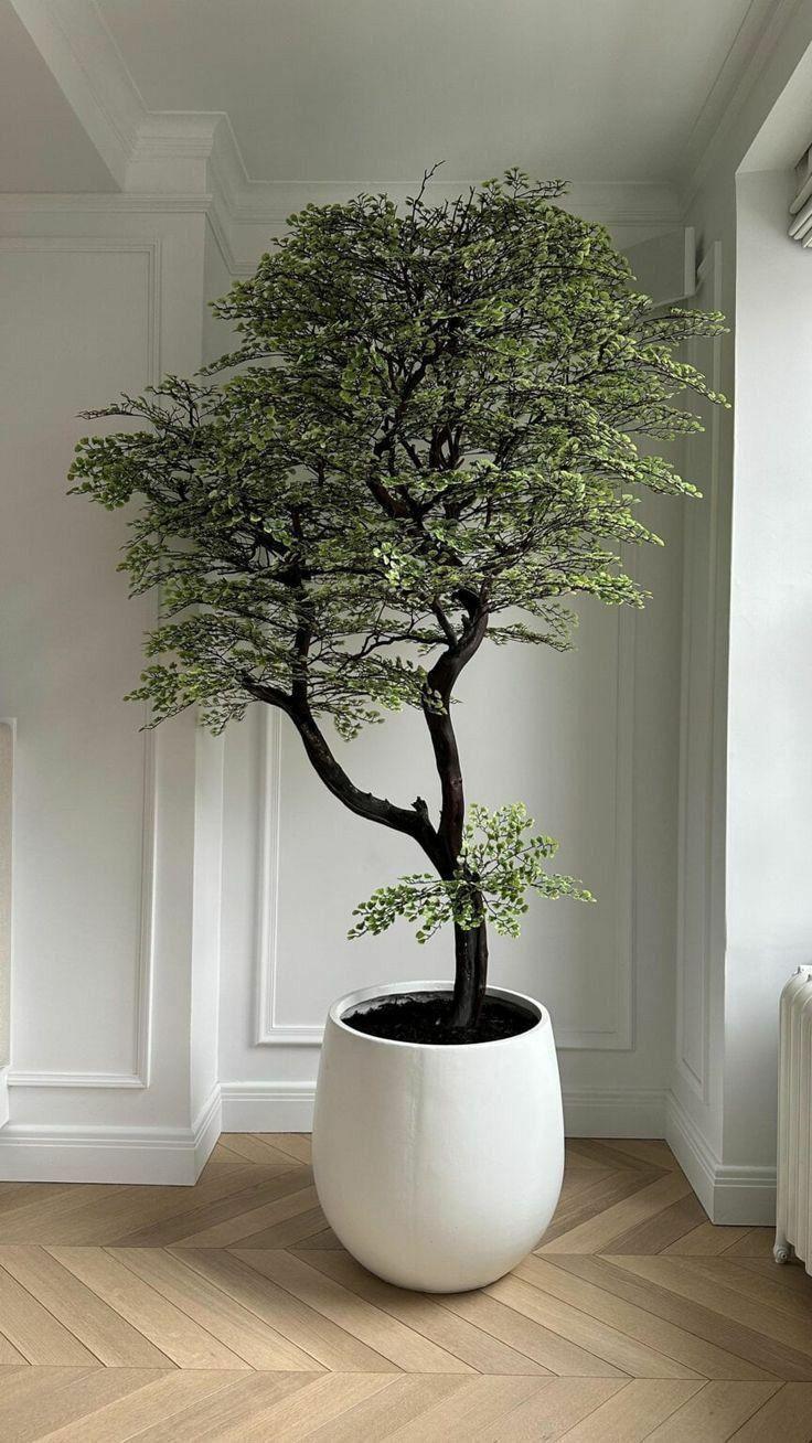 Decoração